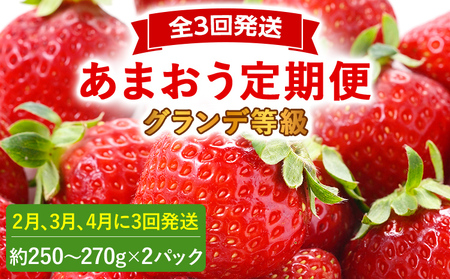 2026年発送先行予約】あまおう2パック×3回発送定期便 (2月、3月 2026年発送先行予約】あまおう2パック×3回発送定期便 (2月、3月
