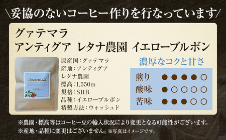 コーヒー ドリップバッグ お試し 無糖 1500円ポッキリ グァテマラ メール便（ポスト投函）