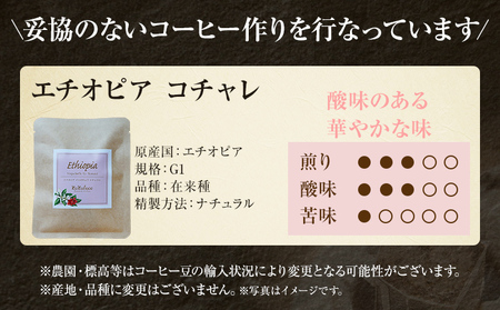 コーヒー ドリップバッグ お試し 無糖 1500円ポッキリ エチオピア コチャレ メール便（ポスト投函）