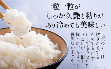 【6回定期便】 令和7年産 白米 金のめし丸 元気つくし 5kg 定期便 半年 福岡 お米 米 ごはん ご飯 お弁当 おにぎり 金のめし丸県産米 福岡ブランド米 めし丸 ライス rice 飯