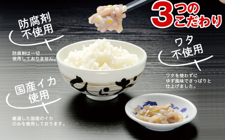 [ 天麩羅 処 ひらお ]福岡 名物！ いか の塩辛 580g(290g×2) HO003-1