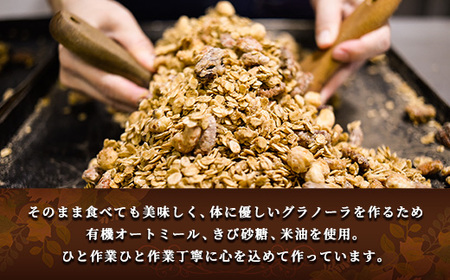 【FRUCTUS】アップルシナモングラノーラ 250g FR002-2