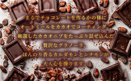 【FRUCTUS】カカオグラノーラ 250g FR003-2