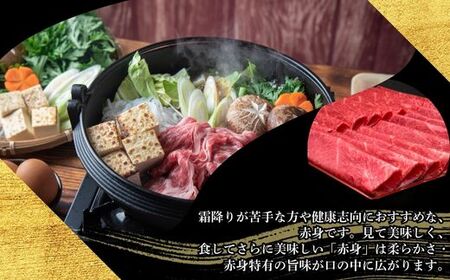 A5,4等級 博多和牛赤身うす切り 500g×2P 計1000g [HS043-1] 久田精肉店【福岡県須恵町】
