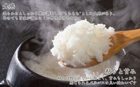 【ふるなびWEEK対象】〈令和7年産〉福岡県産米 「夢つくし」 10kg 新米 [SM001-1W] 【福岡県須恵町】「FN-Limited-PR」