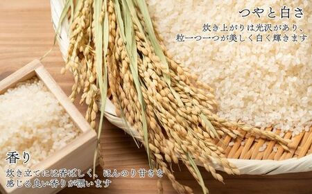 【ふるなびWEEK対象】〈令和7年産〉福岡県産米 「夢つくし」 10kg 新米 [SM001-1W] 【福岡県須恵町】「FN-Limited-PR」