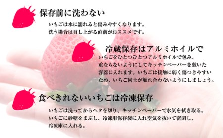 【2025年発送 先行予約】 福岡県産いちご あまおう (250g×6パック) SF053-1