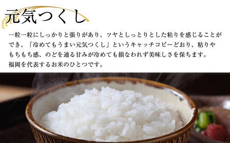 〈令和6年産〉 福岡県産 ブランド 米「 元気つくし 」 5kg NP002-2