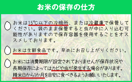 〈令和6年産〉 福岡県産 ブランド 米「 元気つくし 」 5kg NP002-2