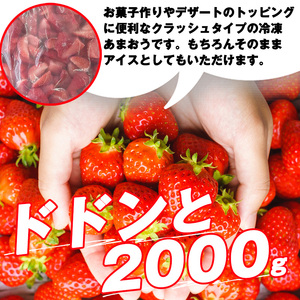 福岡県産 冷凍いちご クラッシュあまおう 2kg SF054-1