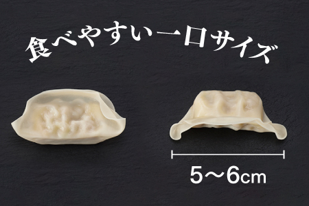 ZI142.福岡・博多の味『博多一口餃子』１６０個入（４０個入×４Ｐ）