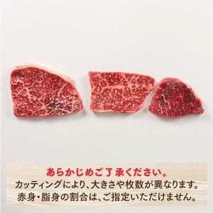 B281.博多和牛セットC