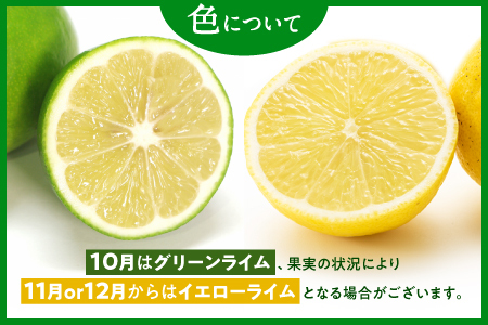 AA206.貴重な国産ライム.約5kg／2025年10月～12月発送予定
