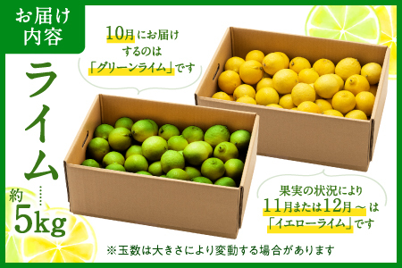 AA206.貴重な国産ライム.約5kg／2025年10月～12月発送予定