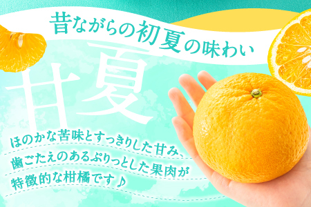 AA093.【予約受付・期間限定商品】福岡柑橘王国・樹成り完熟甘夏(2026年4月~5月配送予定)