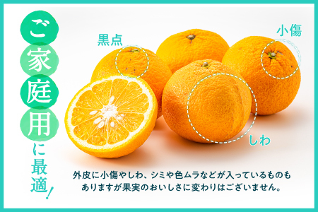 AA093.【予約受付・期間限定商品】福岡柑橘王国・樹成り完熟甘夏(2026年4月~5月配送予定)