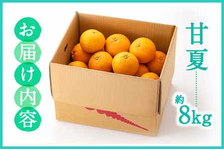 AA093.【予約受付・期間限定商品】福岡柑橘王国・樹成り完熟甘夏(2026年4月~5月配送予定)