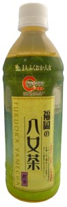 JC005.福岡八女茶のペットボトル.緑茶（５００ml×２４本）×12ヵ月