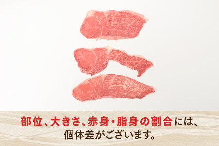 CF013.博多和牛赤身スライス（定期便：全3回）