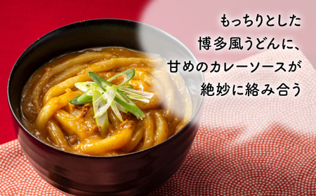 A1549.【レンチンできる！】カレーうどんセット（200g×11個）