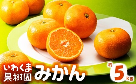 AA216.いわくま果樹園から直送品の温州みかん（約5kg）／2025年9月下旬～2026年1月下旬発送予定★予約分★