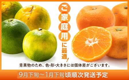 AA216.いわくま果樹園から直送品の温州みかん（約5kg）／2025年9月下旬～2026年1月下旬発送予定★予約分★