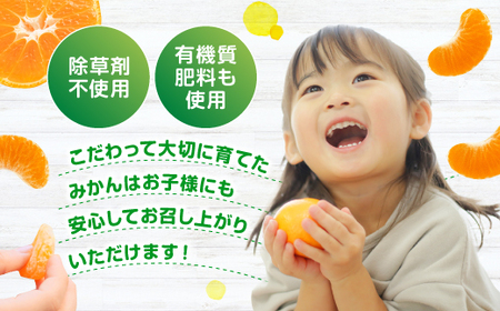 AA216.いわくま果樹園から直送品の温州みかん（約5kg）／2025年9月下旬～2026年1月下旬発送予定★予約分★