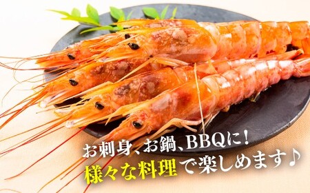 AB443.【お刺身用】有頭赤海老2kg(約40~60尾入)