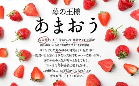 BA017.あまおう約1,080gと甘うぃ約1.3kg～1.5kgのセット【あまおう】【甘うぃ】