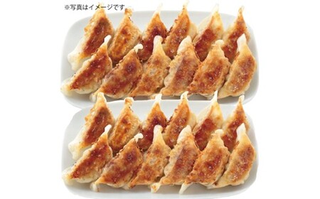 Z289.博多八助監修・うまかひとくち餃子（2セット）