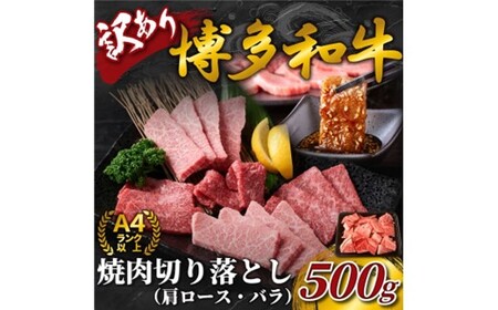 AB475.訳あり！【A4～A5】博多和牛焼肉切り落とし（肩ロース・バラ）約500g【博多和牛】