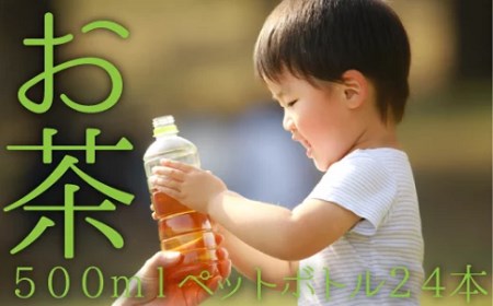 EE014.福岡八女茶のペットボトル.緑茶（５００ml×２４本）×５ヵ月