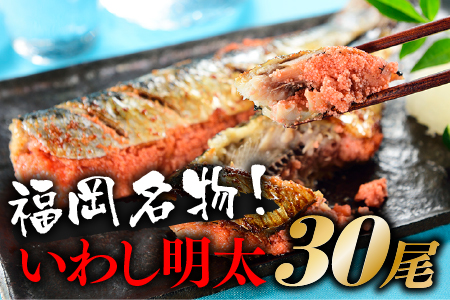 A633.【新型コロナ被害支援】いわし明太(30尾)