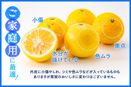 AA115.福岡柑橘王国．ニューサマーオレンジ約5kg／2026年4月配送