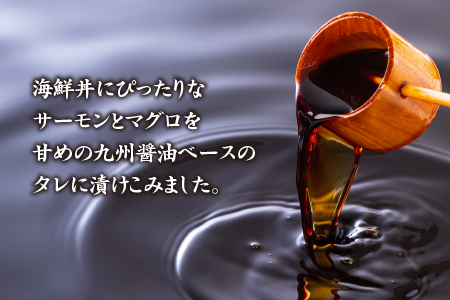 A1427.ぶっかけ海鮮！サーモン＆マグロの漬けセット