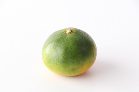 AA189.【予約受付・期間限定商品】早味かん（5kg程度）.2026年9月～10月配送