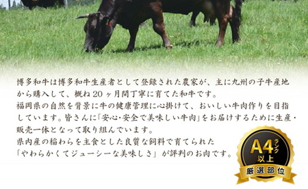 AE178.【訳あり！】博多和牛しゃぶすき用（700g）