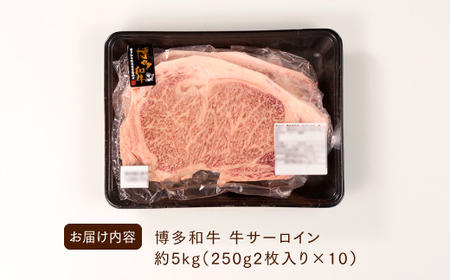K034.博多和牛サーロインステーキセット（5kg）