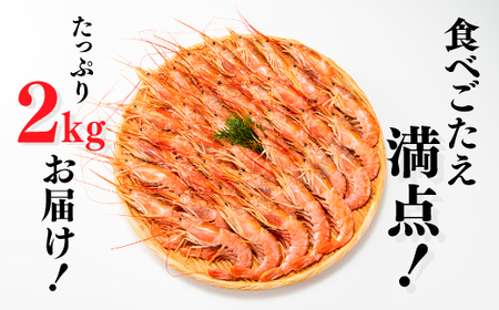 AE098.【お刺身用】有頭赤海老(約2キロ)