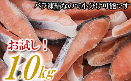 ZH149.バラ凍結で便利!銀鮭切身(約1.0kg)