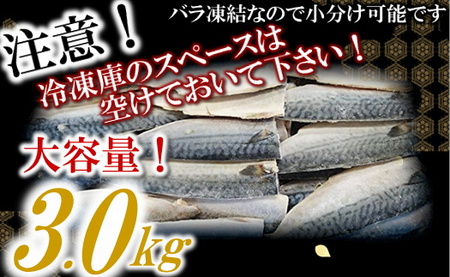 AB182.バラ凍結で便利！塩さば（約3kg）