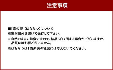 プラン（A）久山の森の恵みと植樹体験 体験 体験型 招待券 チケット 植樹 植物 森林 保護 自然 苗木 福岡県 久山町