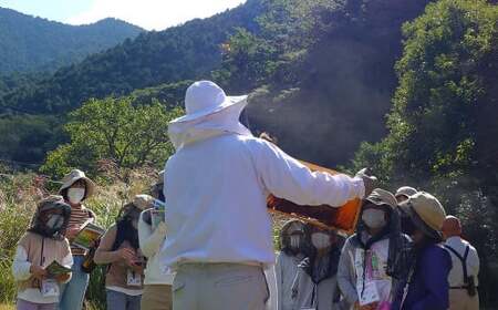 プラン（B）久山の森の恵み （森の蜜 350g×1本＆蜜蝋ワックス 約40g）【2026年1月下旬迄順次発送予定】 国産 天然 久山養蜂場 自然 お取り寄せ 福岡県 久山町