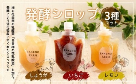 発酵 シロップ 3種 しょうが ・ レモン ・ いちご (150cc×1パック)