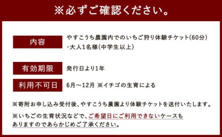 いちご狩り 食べ放題チケット60分 大人(中学生以上)1名様 イチゴ狩り 福岡県 やすこうち農園 久山町 体験チケット