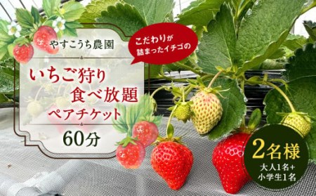 いちご狩り 食べ放題ペアチケット60分(大人1名+小学生1名) イチゴ狩り 福岡県 やすこうち農園 久山町 体験チケット