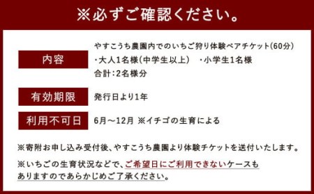 いちご狩り 食べ放題ペアチケット60分(大人1名+小学生1名) イチゴ狩り 福岡県 やすこうち農園 久山町 体験チケット