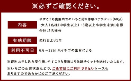 いちご狩り 食べ放題ペアチケット60分(大人1名+3歳以上小学生未満1名) イチゴ狩り 福岡県 やすこうち農園 久山町 体験チケット