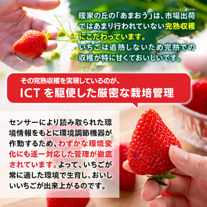 暖家のいちご　完熟あまおう　贈答用2パック【1月上旬以降順次発送】AB001