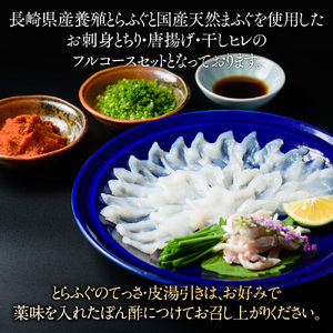 ふぐフルコースセット（4～5人前）【刺身：まふぐ】 AE011